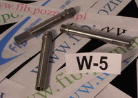WAŁEK WIRNIKA